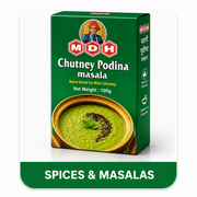 Mdh Chutney Podina 100 gm
