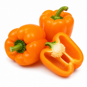 Orange Bell Pepper