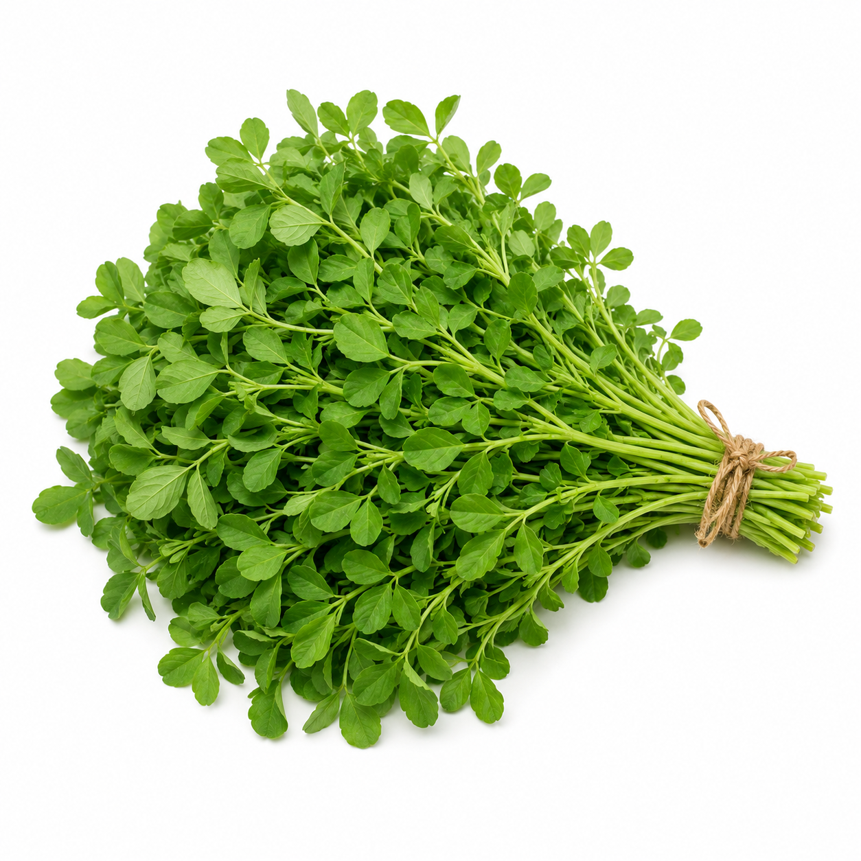Methi