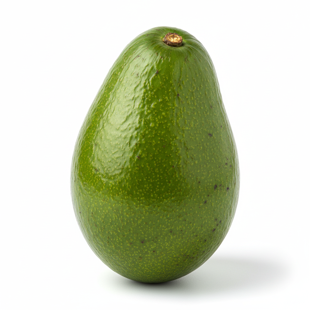 Florida avocado