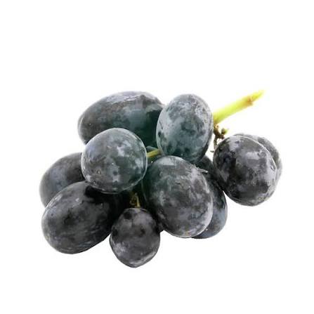 Midnight Beauty Black Seedless Grapes 3 lb