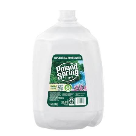 Poland Spring Water 1 gl