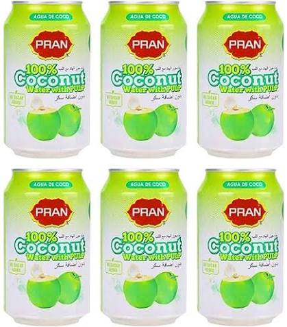 Pran Coconut Milk Drink, 290ml
