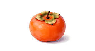 Japanese Persimmon