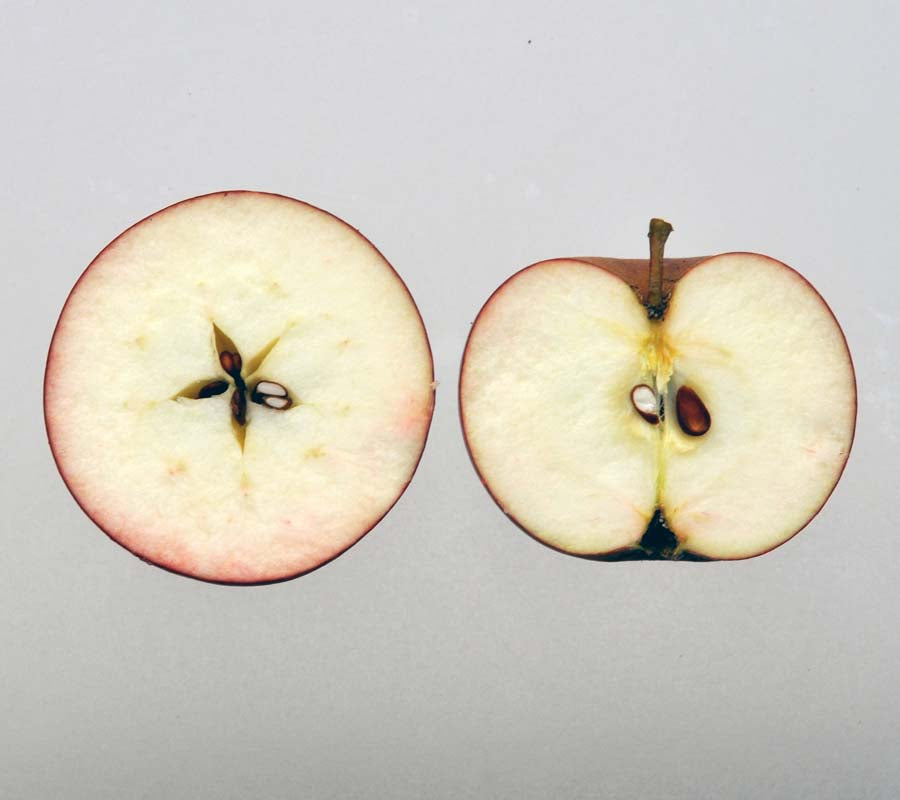 Ingrid Marie Apple