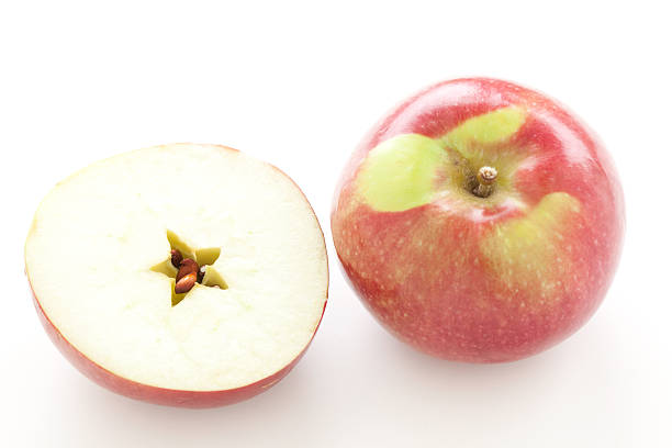 Mcintosh Apple
