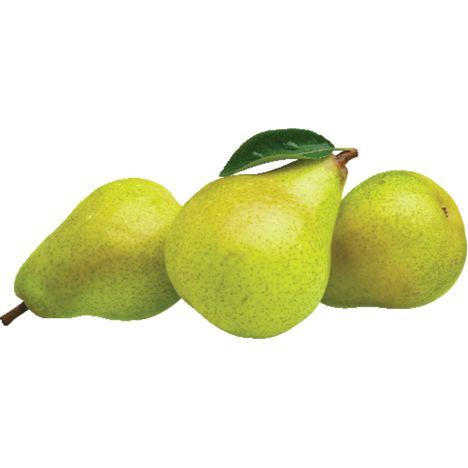 Passe Crassane Pear (small)