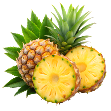 Pineapple Sliced 0.90 lb