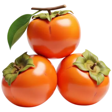 Kakis Persimmons Box : 8pcs