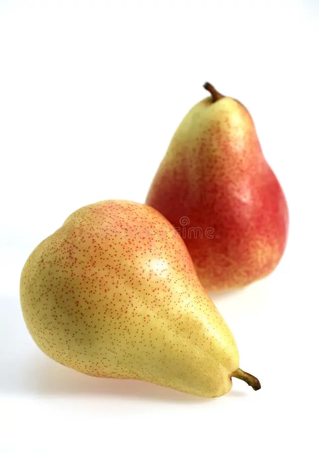 Rosemarie Pear