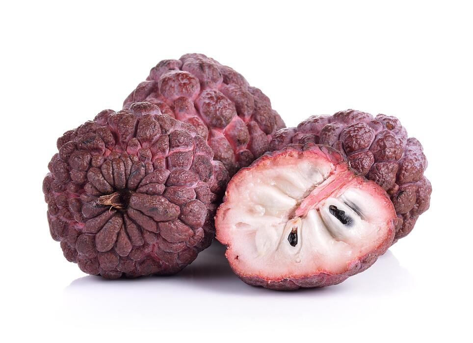 Sugar Apple