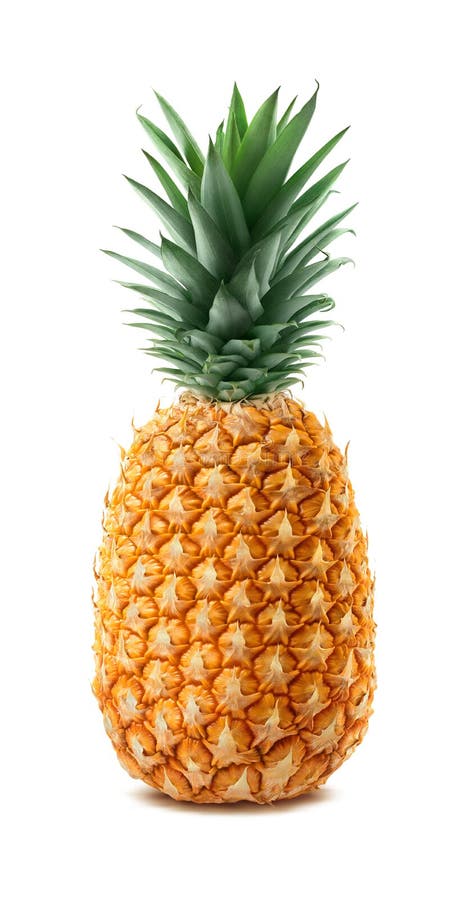 Pineapple - Perola