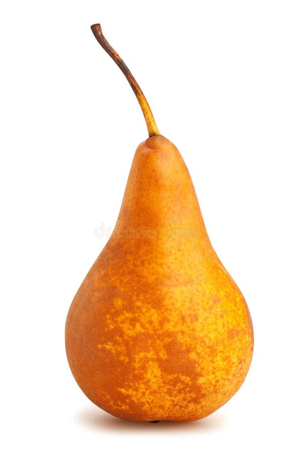 Bosc Pear