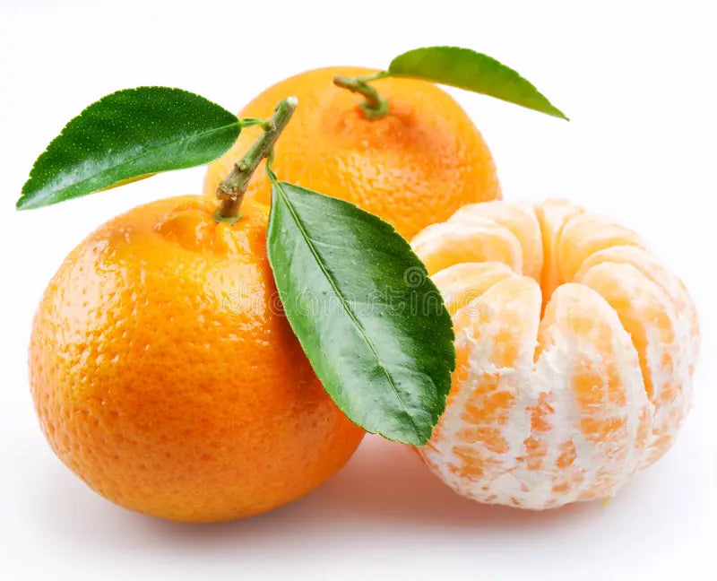 SMALL Tangerine