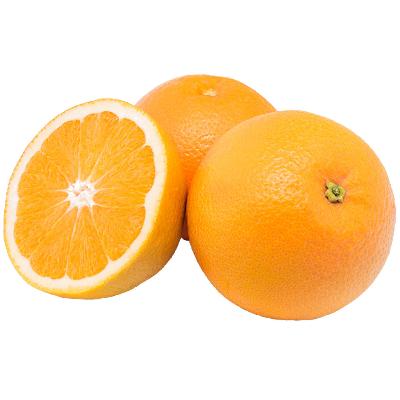 Valencia Oranges (small)