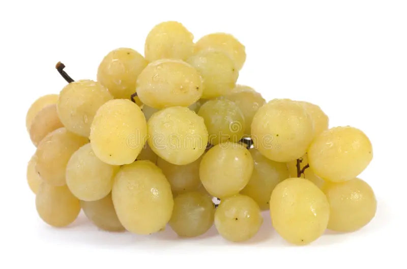 Chasselas Grapes