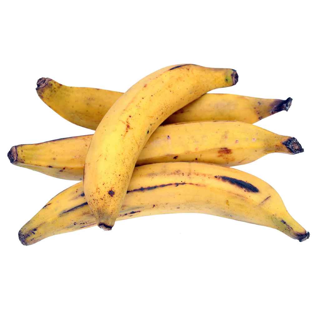 Yellow Plantian